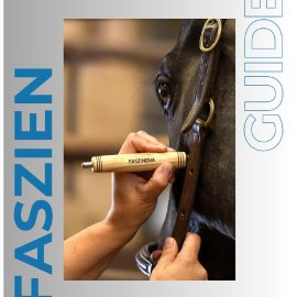 FASZINOVA Faszien-Guide